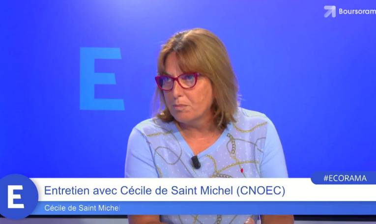 Cécile de Saint Michel (Ordre des experts-comptables) : "Cette nouvelle déclaration des biens immobiliers est encore une complexité administrative à la charge des propriétaires !"