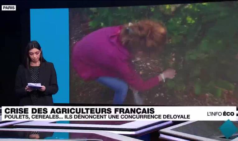 Poulets, céréales... Les agriculteurs français dénoncent une concurrence déloyale