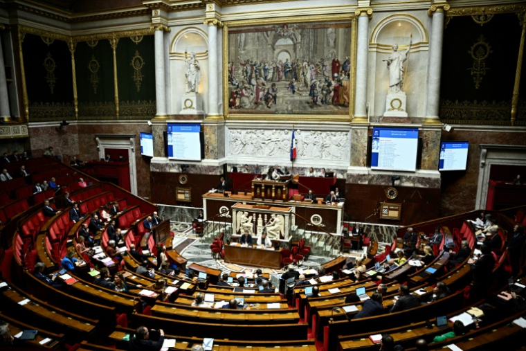 Une séance de débat sur la première partie du projet de loi de finances 2025 à l'Assemblée nationale, à Paris le 23 octobre 2024 ( AFP / JULIEN DE ROSA )