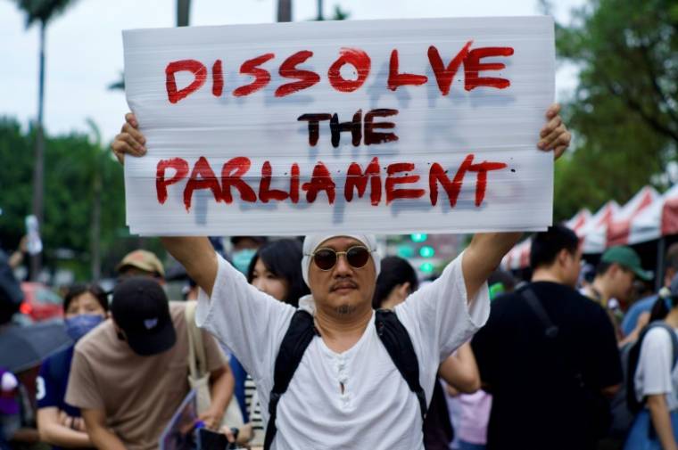 Un partisan du Parti démocratique progressiste (PDP) au pouvoir, brandit une pancarte à l'exterieur du Parlement à Taipeh le 24 mai 2024 ( AFP / Sam Yeh )