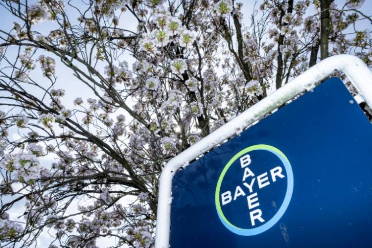 Au sein du laboratoire du chimiste Bayer à Lyon, l'intelligence artificielle (IA) a bouleversé le travail des scientifiques à la recherche des pesticides de demain ( AFP / Ina FASSBENDER )