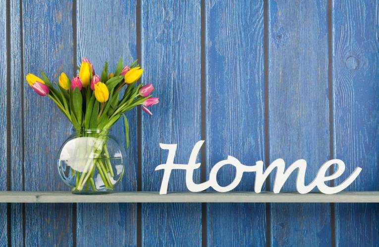 Comment profiter du printemps pour entretenir votre maison ? (Crédits photo : Adobe Stock -  )