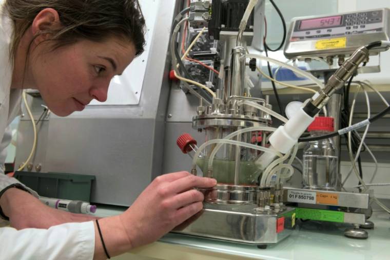 A technician supervises chemical manipulation on a Carbios reactor, in Saint-Beauzire (Puy-de-Dôme), April 1, 2019 (AFP / Thierry Zoccolan)