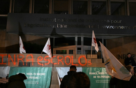 Des agriculteurs devant l'Inrae après avoir érigé un mur en parpaings devant l'institut, le 28 novembre 2024 à Paris ( AFP / Gregoire CAMPIONE )