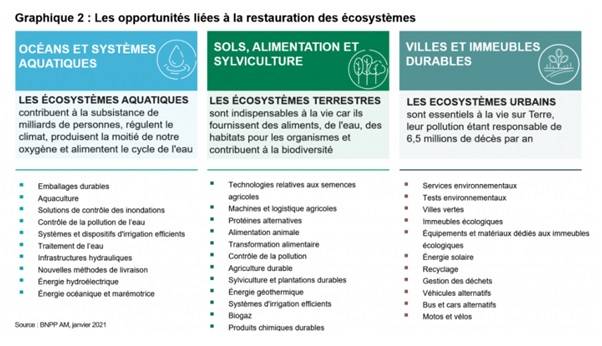 Les opportunités liées à la restauration des écosystèmes