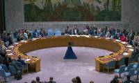 Gaza: le Conseil de sécurité de l'ONU apporte son soutien au plan de trêve