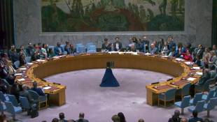 Gaza: le Conseil de sécurité de l'ONU apporte son soutien au plan de trêve