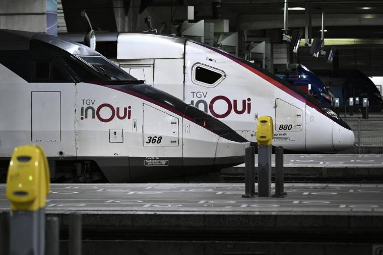 SNCF Voyageurs a annulé 1 TGV sur 2 en moyenne ( AFP / STEPHANE DE SAKUTIN )