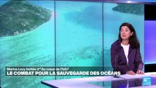 Marina Lévy: "On assiste à une désertification progressive des océans"