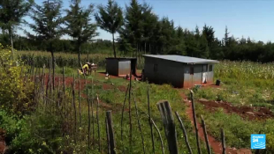 Centrafrique : 19 femmes témoignent d'abus sexuels de casques bleus