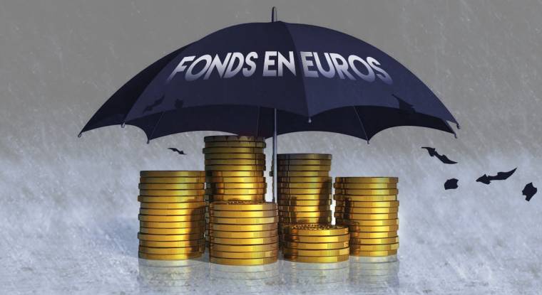 La baisse des taux d'intérêt fragilise la protection qu'offre le fonds en euros. (© Fotolia)