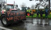 Manifestation d'agriculteurs à Rennes, en Ille-et-Vilaine, le 21 février 2024  ( AFP / Sebastien SALOM-GOMIS )