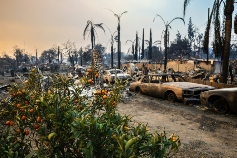 Altadena, près de Los Angeles, a été ravagée par les incendies, le 9 janvier 2025 ( AFP / Zoë Meyers )