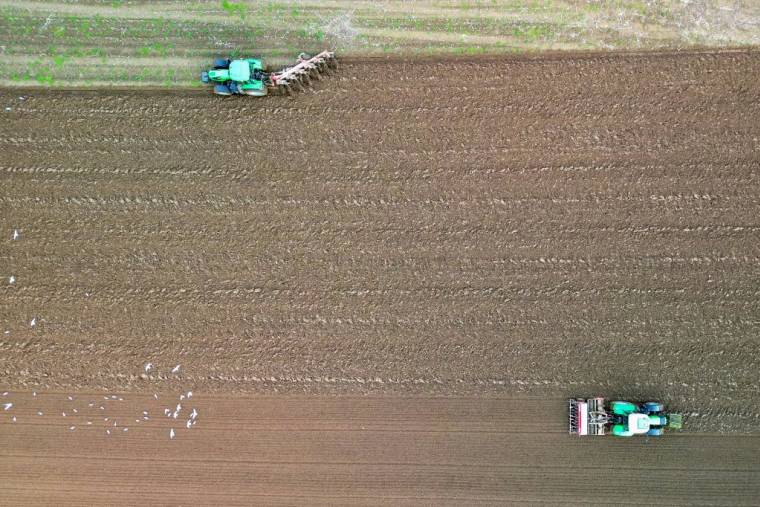 Photographie aérienne d'agriculteurs travaillant dans un champ à Tinténiac (Ille-et-Vilaine) le 24 novembre 2023.  ( AFP / DAMIEN MEYER )