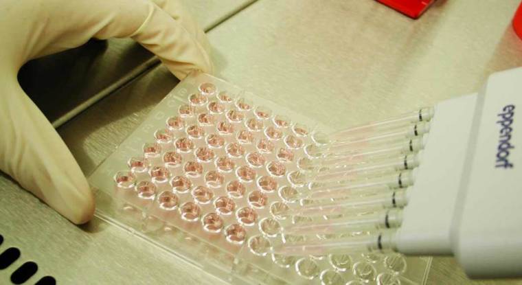 La biotech spécialisée dans la lutte contre le cancer a révélé une étude clinique décevante. (© Innate Pharma)
