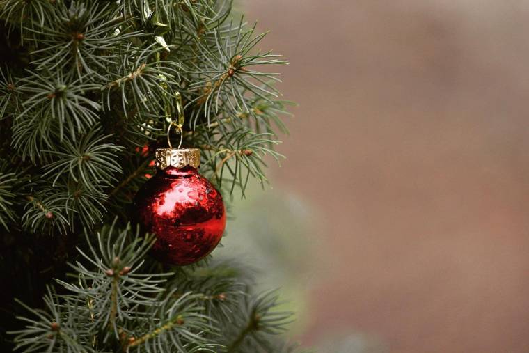 De nombreuses municipalités mettent en place des points de collecte après les fêtes pour collecter les vieux sapins de Noël. (Illustration) (TanteTati / Pixabay)
