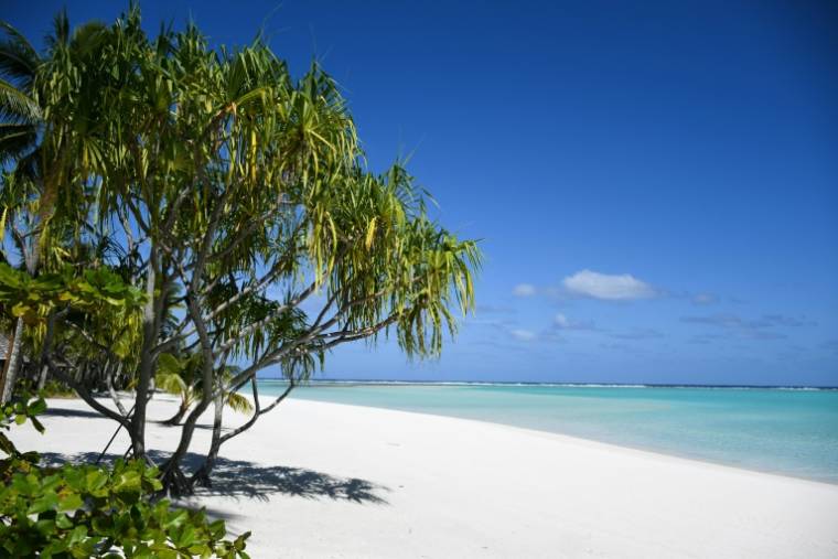 Huit mois d'autarcie sur un îlot inhabité de Polynésie française pour y observer un écosystème particulièrement vulnérable aux effets du changement climatique: c'est l'aventure dans laquelle s'est lancé un scientifique de Nouvelle-Calédonie, Matthieu Juncker ( AFP / Mike LEYRAL )