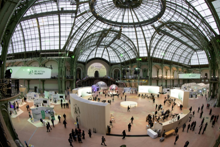 Au Sommet sur l'intelligence artificielle au Grand Palais à Paris, le 10 février 2025 ( AFP / JOEL SAGET )