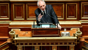 Le Premier ministre François Bayrou s'exprime au Sénat, le 15 janvier 2025 à Paris ( AFP / Bertrand GUAY )