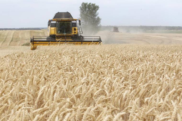 Malgré la guerre, les Ukrainiens ont déjà commencé à semer du blé, de l'orge, du colza, de l'avoine, du tournesol et du soja (illustration) ( FAO / ANATOLII STEPANOV )