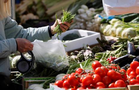 Le président de Légumes de France appelle à revoir les restrictions d'eau en vigueur pour préserver la production de légumes Origine France (illustration)  ( AFP / LUDOVIC MARIN )