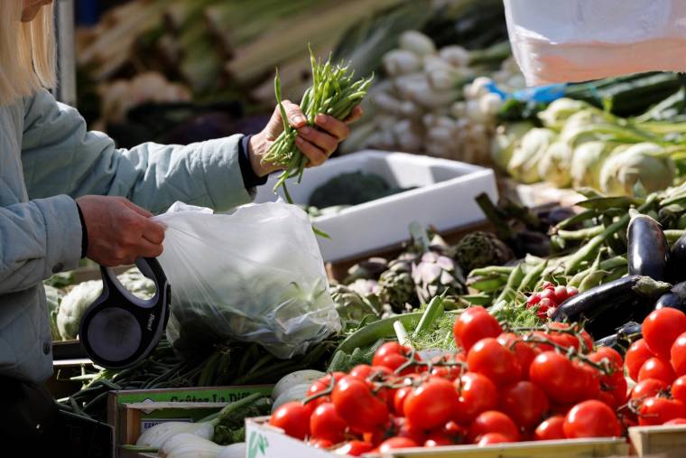 Le président de Légumes de France appelle à revoir les restrictions d'eau en vigueur pour préserver la production de légumes Origine France (illustration)  ( AFP / LUDOVIC MARIN )