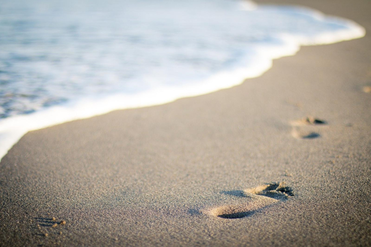 Le sud de la France a la cote cette année auprès des vacanciers français. (illustration) (Pixabay / Pexels)