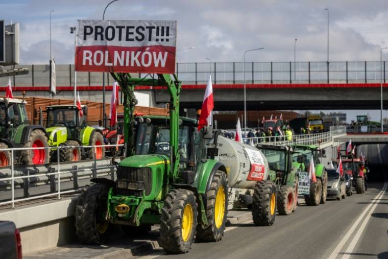 Manifestation d'agriculteurs poloanis, le 20 mars 2024 à Varsovie ( AFP / Wojtek Radwanski )