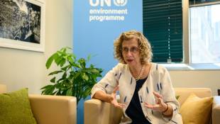 Inger Andersen, directrice exécutive du Programme des Nations unies pour l'environnement, lors d'une interview au siège de l'ONU à New York, le 21 septembre 2023 ( AFP / Ed JONES )