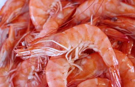 Des crevettes vendues en vrac partout en France sont rappelées par Rappel Conso. (illustration) (magdus / Pixabay)