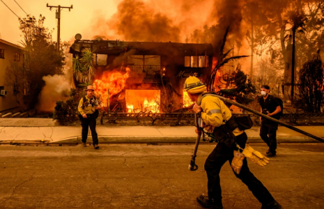 Des pompiers combattent le feu à Los Angeles, le 8 janvier 2024 ( AFP / JOSH EDELSON )