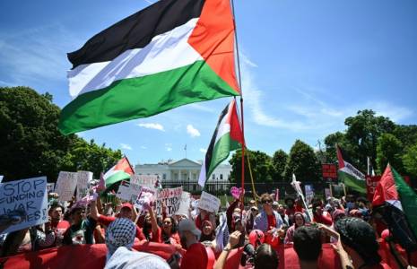 Des manifestants pro-palestiniens devant la Maison Blanche à Washington, le 8 juin 2024 ( AFP / Mandel NGAN )