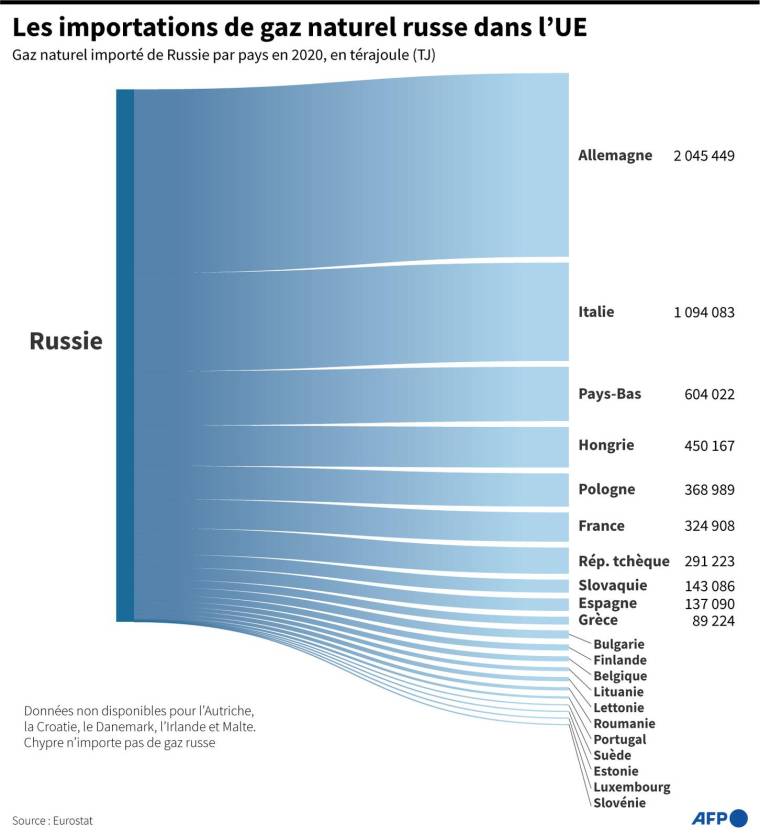 Importations de gaz russe par pays de l'UE en 2020, en térajoule ( AFP /  )