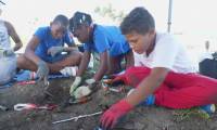 En Guadeloupe, des fouilles pédagogiques pour sauver le patrimoine