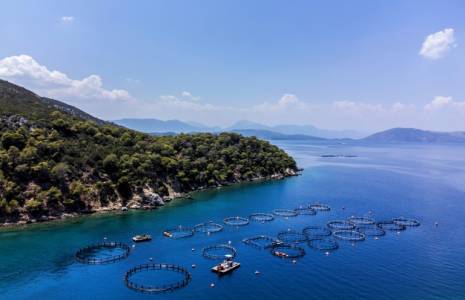 Fermes piscicoles dans la mer Égée, au large de l'île de Poros, en Grèce, le 5 juillet 2023 ( AFP / Angelos Tzortzinis )