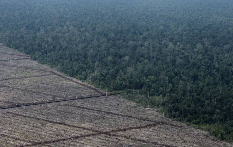 Photo d'archives : Une vue de la déforestation sur l'île de Sumatra en Indonésie