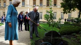 Le roi Charles III et la reine Camilla plantent un chêne dans les jardins de l'hôtel de ville de Bordeaux, le 22 septembre 2023 ( POOL / HANNAH MCKAY )