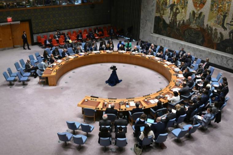 Le Conseil de sécurité de l'ONU à New York, le 18 avril 2024 ( AFP / ANGELA WEISS )