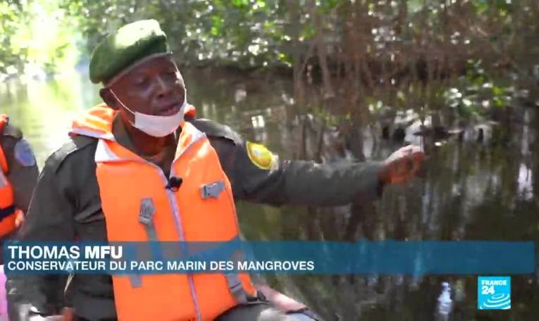 RD Congo : le parc marin des mangroves, une zone humide d'importance internationale à préserver