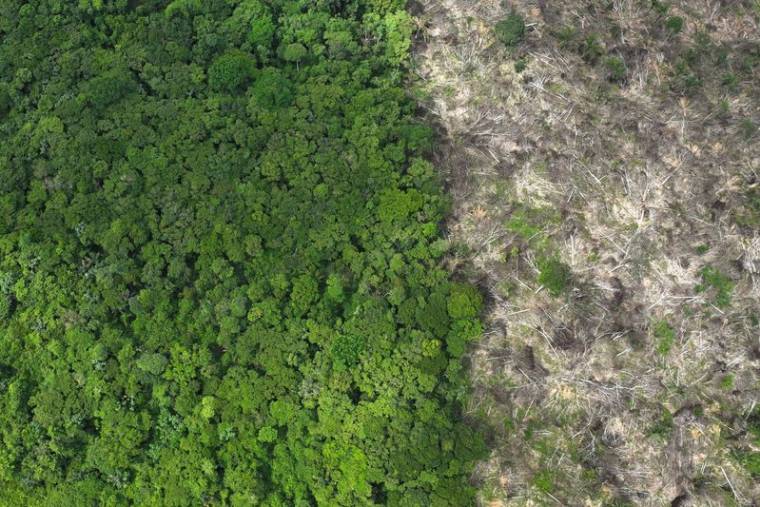 Des images de drone montrent la déforestation en Amazonie brésilienne