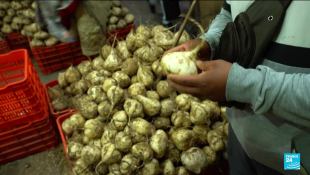 Inflation au Mexique : la production agricole souffre du dérèglement climatique