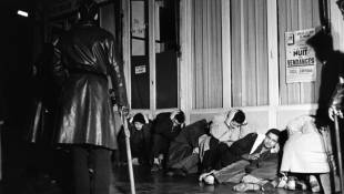 Des manifestants algériens arrêtés à Puteaux, à l'ouest de Paris, le 17 octobre 1961, pendant un rassemblement pacifique réprimé dans le sang, attendant, les mains sur la tête, d'être interrogés  ( AFP / Fernand PARIZOT )
