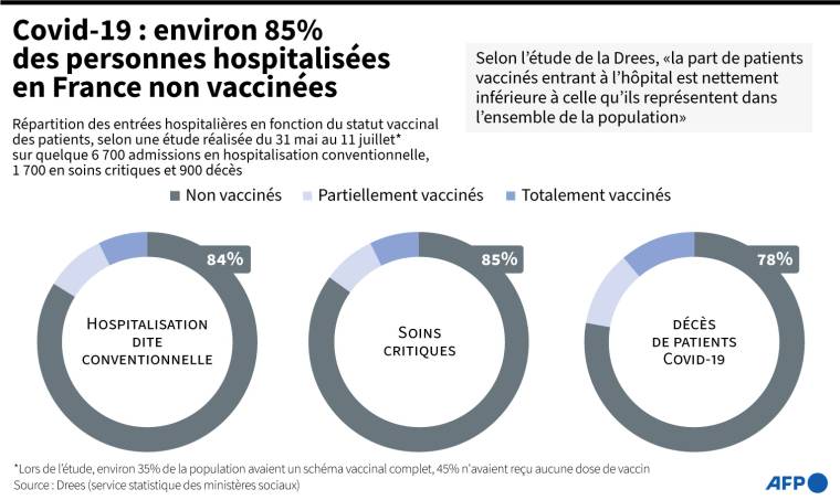 Graphiques montrant la répartition des entrées hospitalières et des décès selon le statut vaccinal, d'après une étude de la Drees ( AFP /  )
