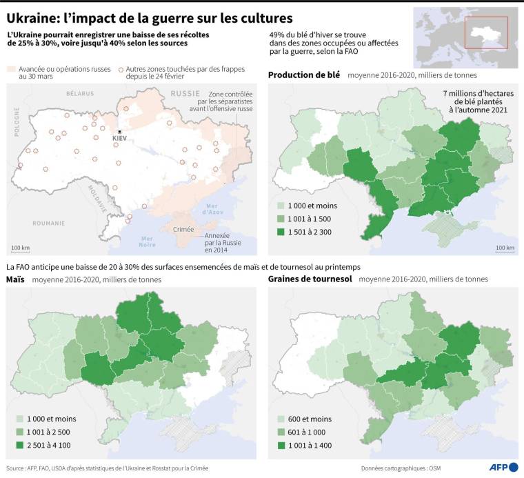 Cartes montrant la localisation des zones de culture de blé, maïs et tournesol en Ukraine et les principales zones de combat ou occupées par les Russes ( AFP /  )