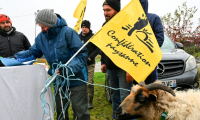 Des agriculteurs de la Confédération paysanne manifestent à Reims le 21 novembre 2024  ( AFP / FRANCOIS NASCIMBENI )