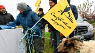 Des agriculteurs de la Confédération paysanne manifestent à Reims le 21 novembre 2024  ( AFP / FRANCOIS NASCIMBENI )