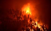 Incendie de forêt près du village de Mega Fundeira, au Portugal, le 18 juin 2023 ( AFP / MIGUEL RIOPA )