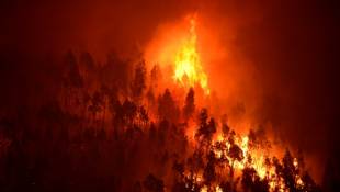 Incendie de forêt près du village de Mega Fundeira, au Portugal, le 18 juin 2023 ( AFP / MIGUEL RIOPA )