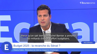 Budget 2025 : la revanche du Sénat ?