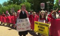 USA: Manifestation pro-palestinienne devant la Maison Blanche